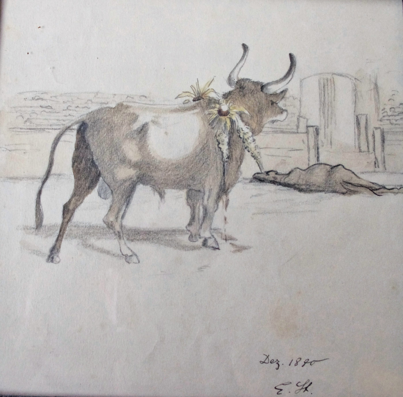 039 1870 dez (17x17) stier